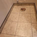 Gallery 119 Construction & Remodeling Experts Serving Magnolia, Conroe, Huntsville & New Waverly, TX TAN Construction & Remodeling LLC provides trusted residential & commercial construction, home remodeling, and renovations in Magnolia, Conroe, Huntsville & New Waverly, TX. Quality craftsmanship, local service, and lasting results. image0000002 TAN Construction & Remodeling LLC provides trusted residential & commercial construction, home remodeling, and renovations in Magnolia, Conroe, Huntsville & New Waverly, TX. Quality craftsmanship, local service, and lasting results.